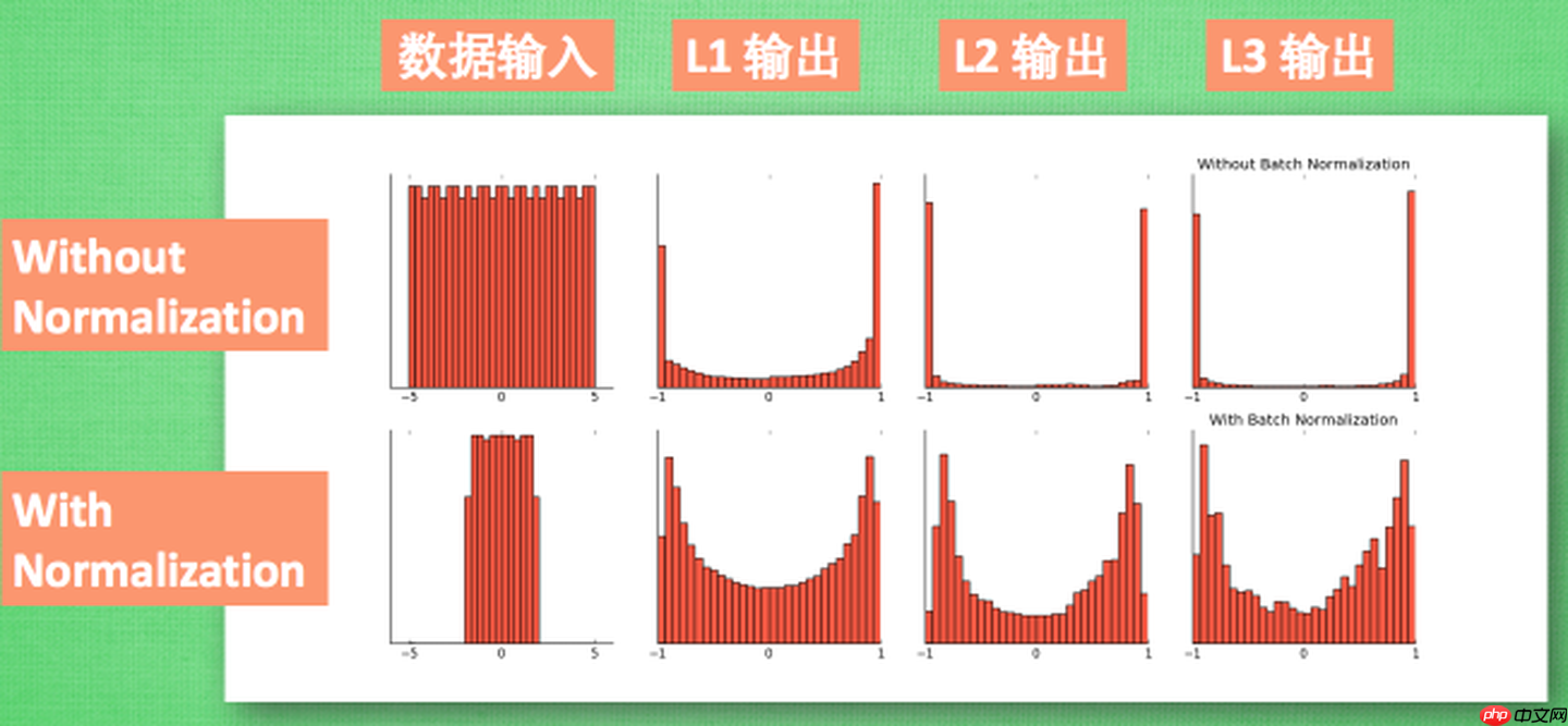 《动手学深度学习》Paddle 版源码（经典CV网络合集） - 游乐网