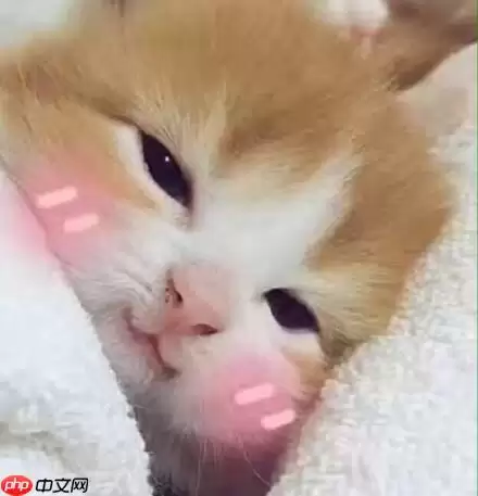 『PPYOLO tiny尝鲜』基于PaddleDetection的人脸疲劳检测 - 游乐网