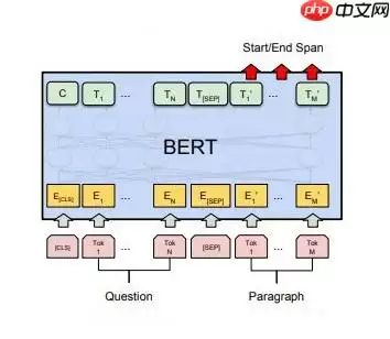 基于BERT模型的机器阅读理解 - 游乐网