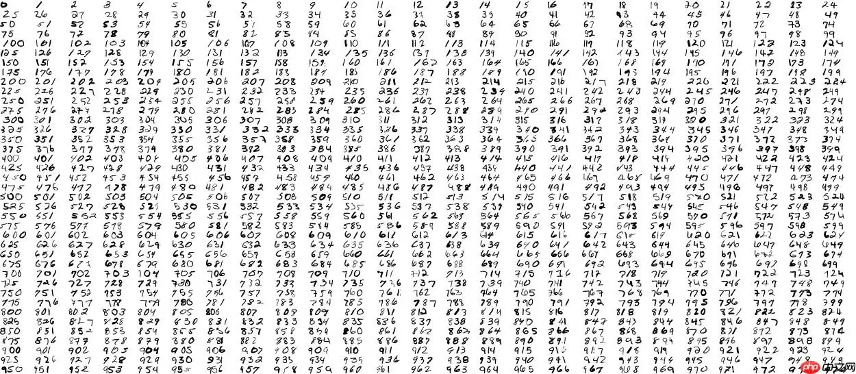 PaddleOCR：基于 MNIST 数据集的手写多数字识别 - 游乐网