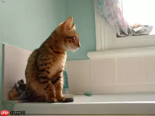 基于Paddle2.0的猫12分类 - 游乐网