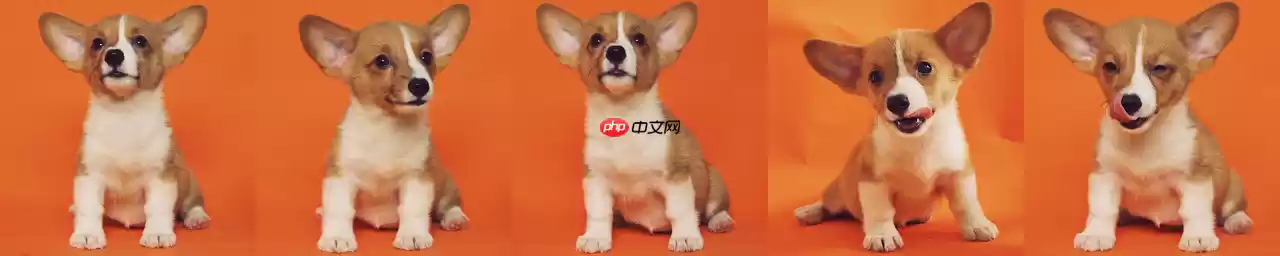 使用Lora技术进行Dreambooth训练【抢先体验版】 - 游乐网