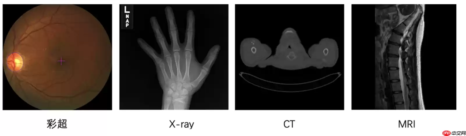 “中国软件杯”大学生软件设计大赛-3D智慧医疗baseline - 游乐网