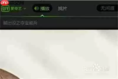 爱奇艺pps怎么调倍速 调倍速方法