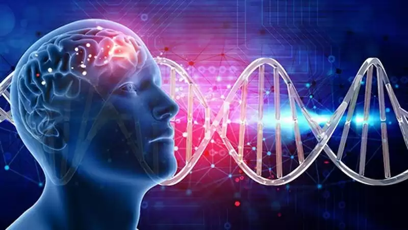 多模态 ai为什么识别不了图片 多模态 ai图像处理失败的原因分析 - 游乐网