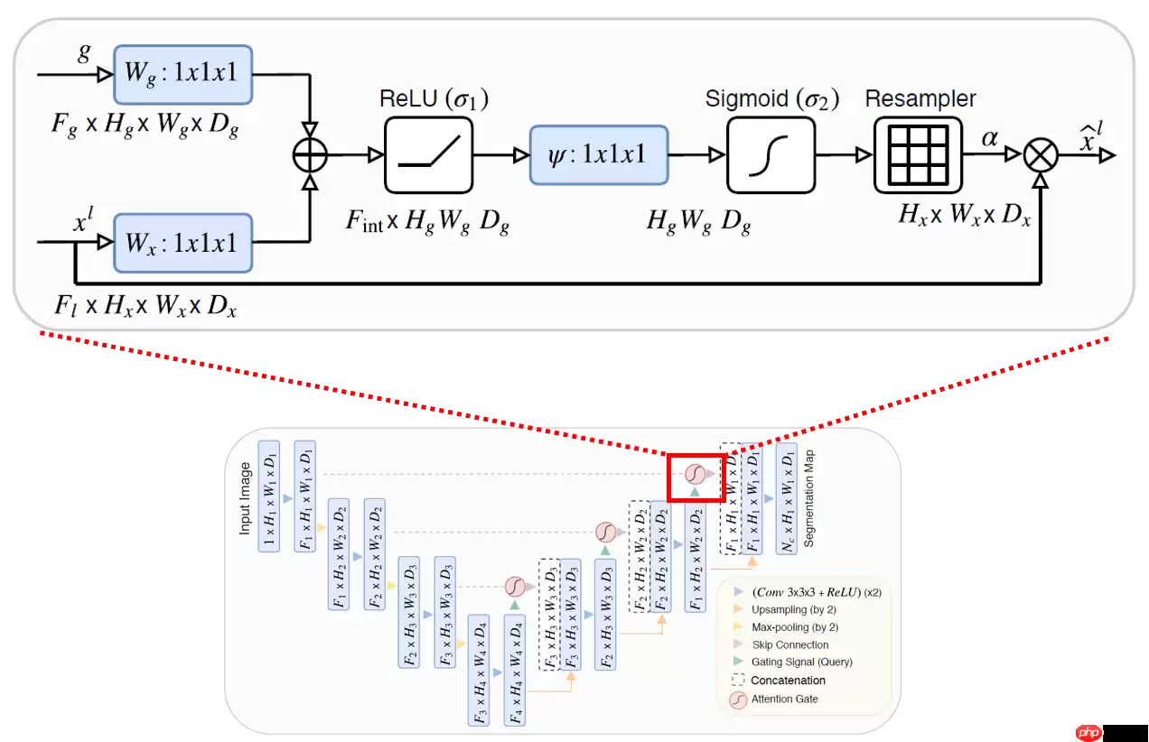 基于Attention U-Net的宠物图像分割 - 游乐网