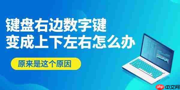 键盘右边数字键变成上下左右怎么办 原来是这个原因！