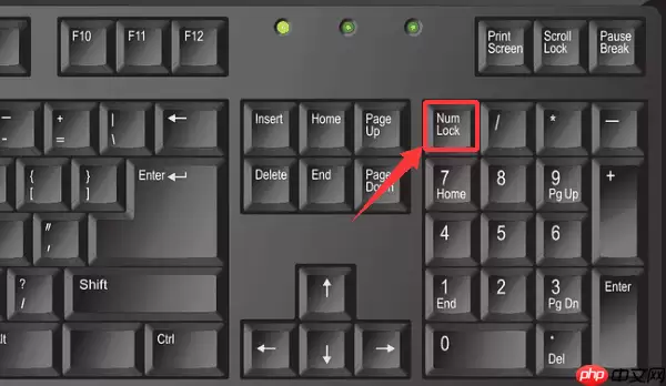 键盘右边数字键变成上下左右怎么办 原来是这个原因!