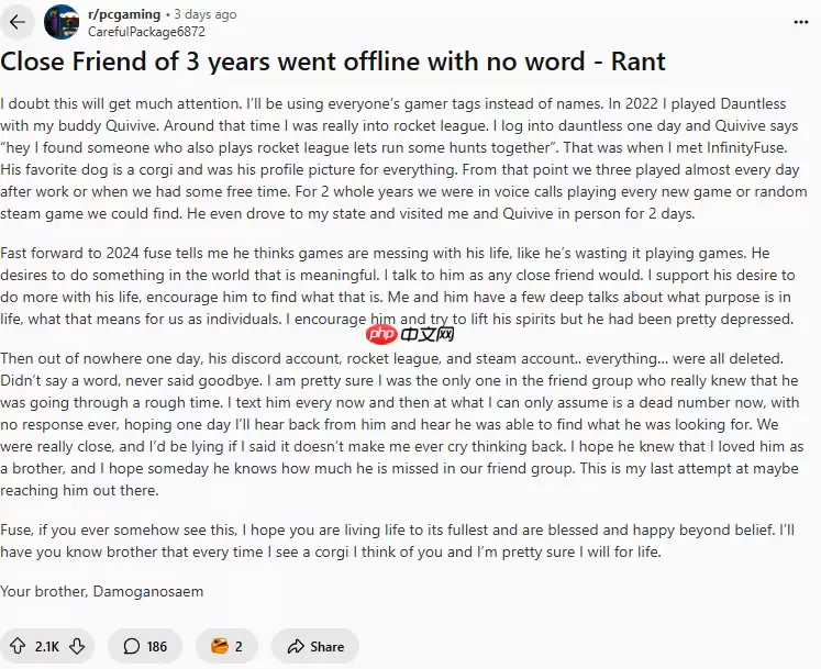 老外玩家发帖感怀三年游戏好友突然失踪 网友共鸣热议
