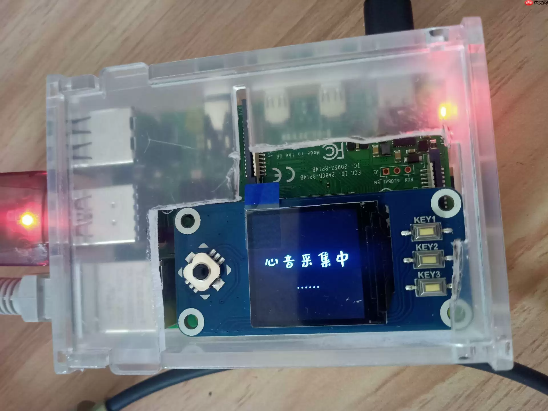 心音智能检测 - 游乐网