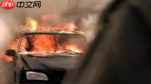 使用PaddleDetection2.0自定义数据集实现火焰识别预测 - 游乐网