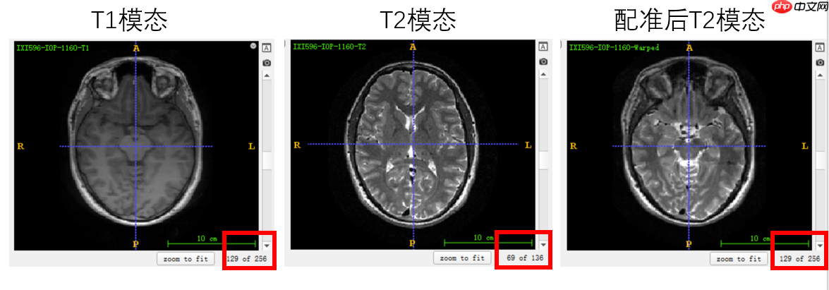 基于分割网络Unet生成虚拟图像 - 游乐网