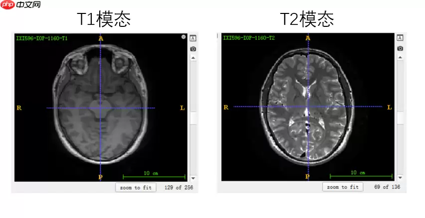 基于分割网络Unet生成虚拟图像 - 游乐网