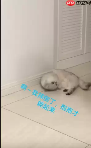 基于PaddleDetecion的跌倒检测 - 游乐网