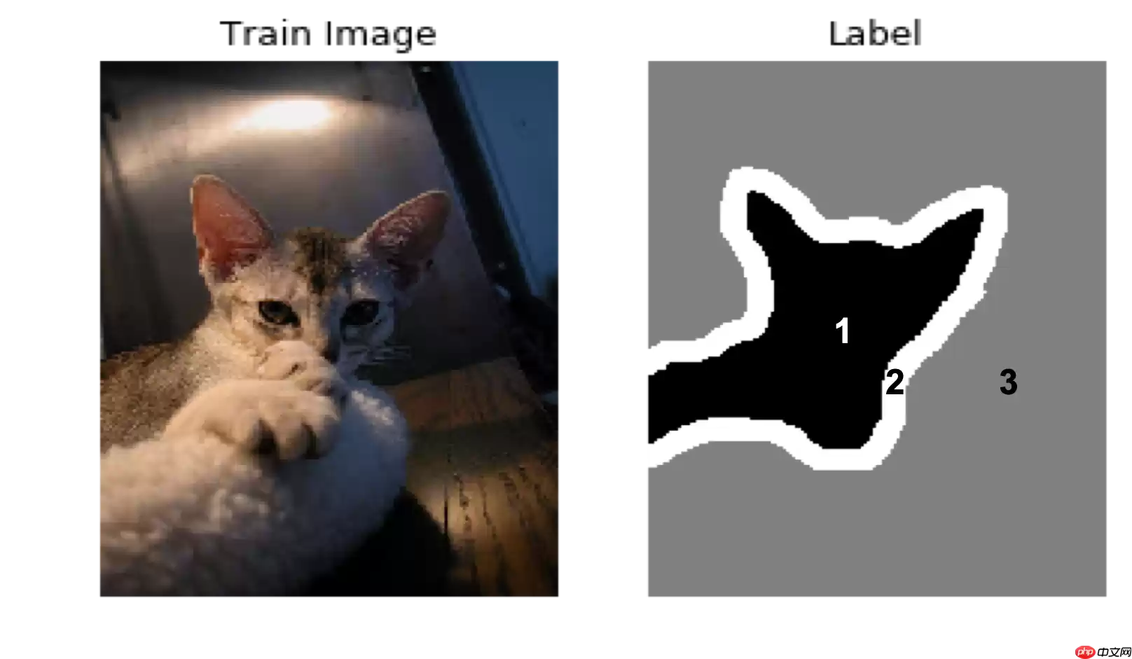 《人工智能导论：案例与实践》 基于U-Net实现宠物图像分割 - 游乐网