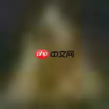 【Paddle打比赛】 交通标志分类识别 - 游乐网