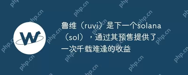 鲁维（ruvi）是下一个solana（sol），通过其预售提供了一次千载难逢的收益