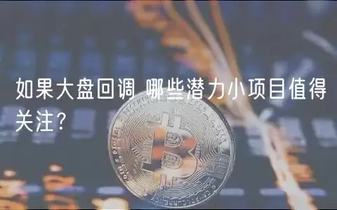 如果大盘回调 哪些潜力小项目值得关注？-第1张图片-本站