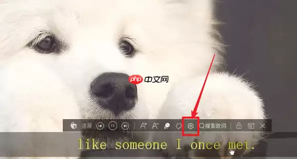 酷我音乐中怎么更改歌词颜色 更改歌词颜色方法