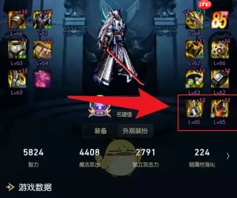 dnf助手怎么显示词条等级 dnf助手显示装备词条等级方法