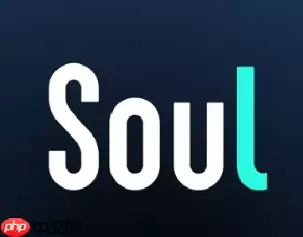soul打电话要钱吗能打多久 soul打电话怎么加好友