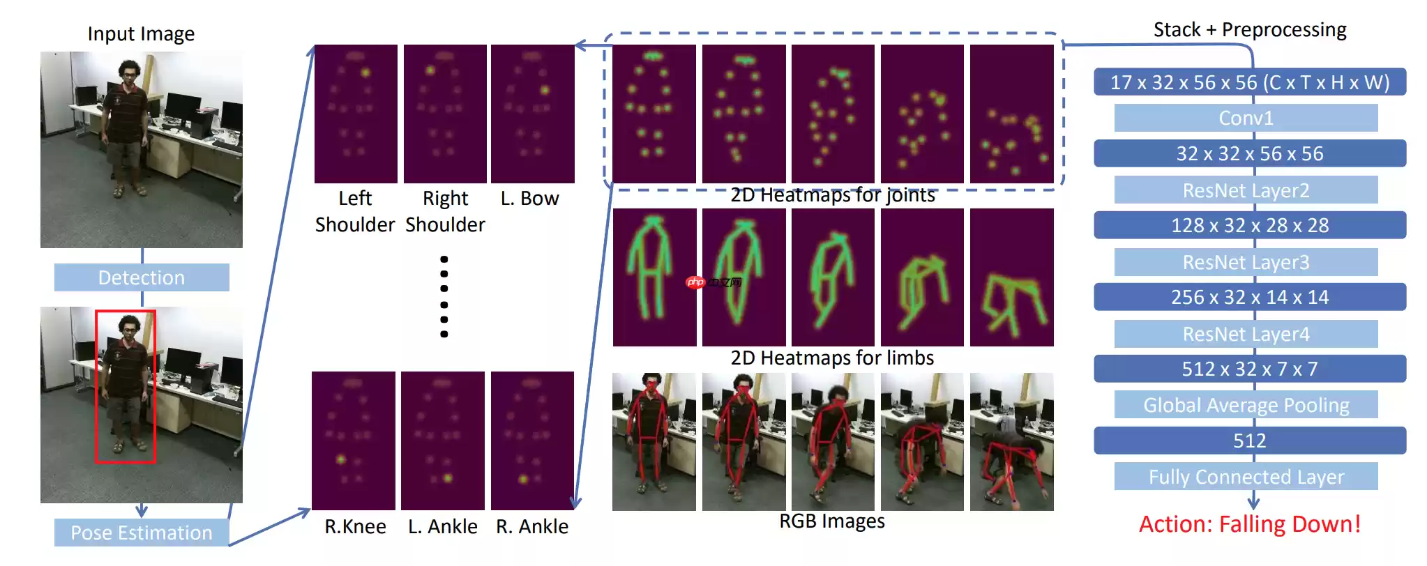 骨骼点动作识别-基于Paddle复现PoseC3D - 游乐网