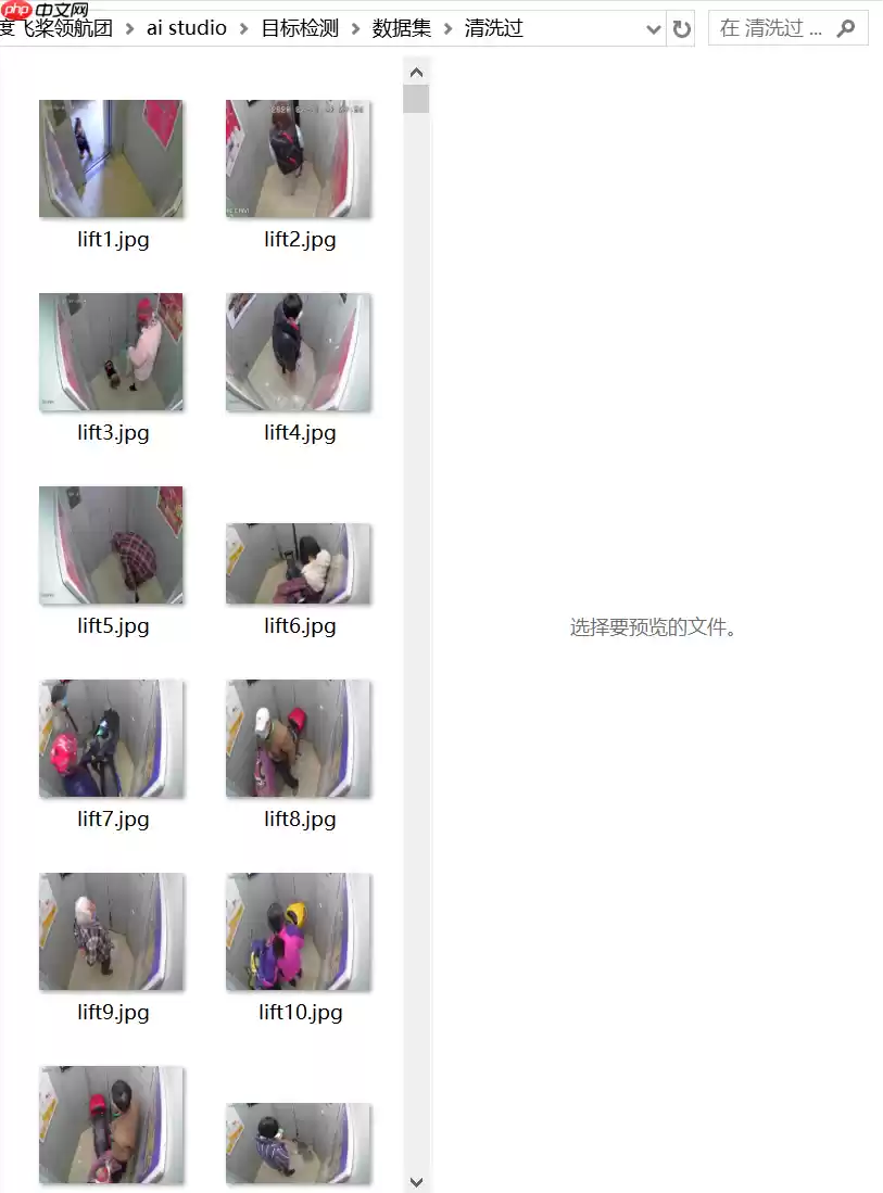 手把手教你用PaddleDetection套件训练目标检测模型 - 游乐网