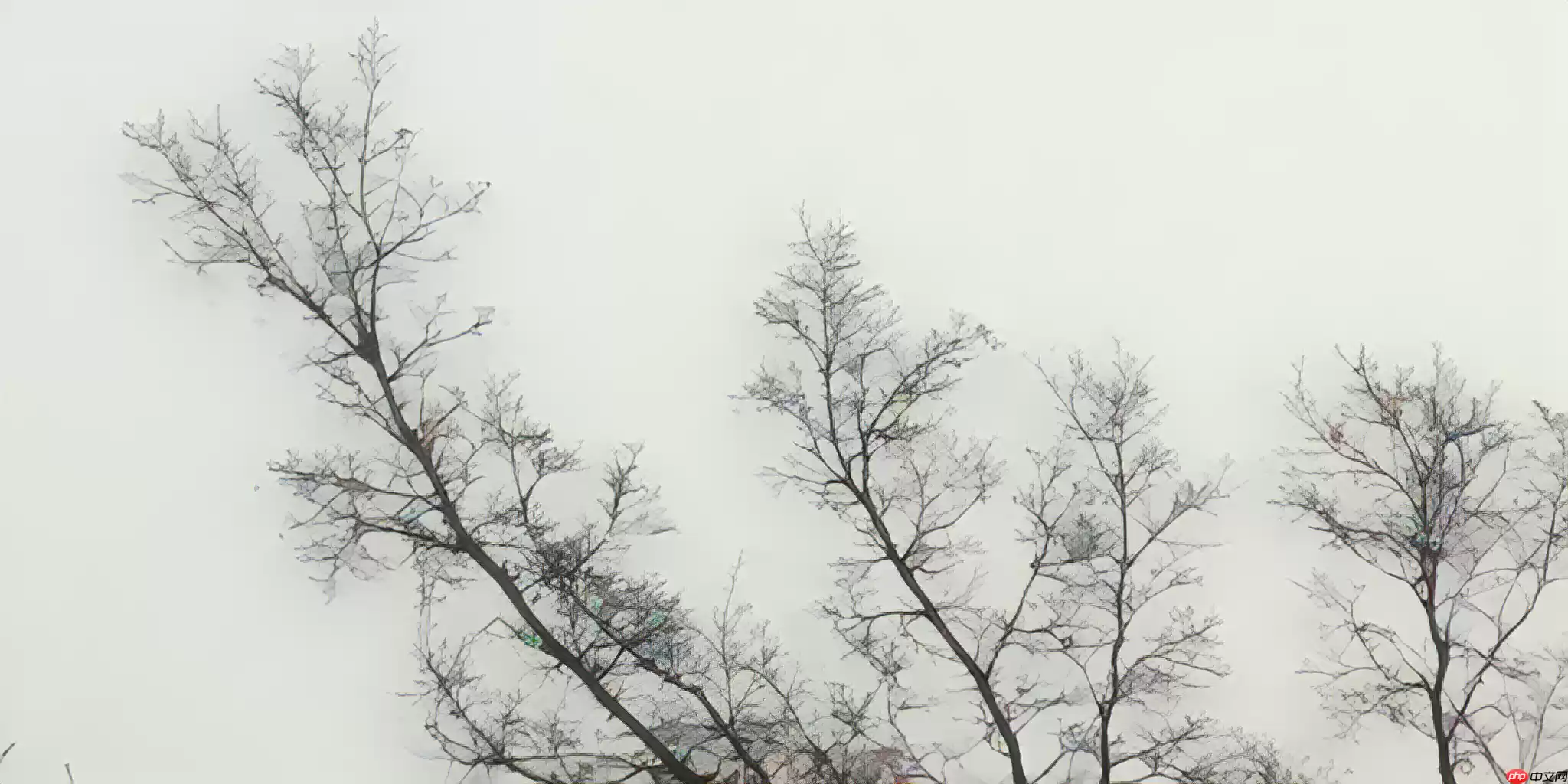 基于飞桨复现RealESRGAN - 游乐网