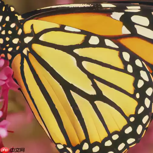 视频&图片 超分与动漫化+补帧 - 游乐网