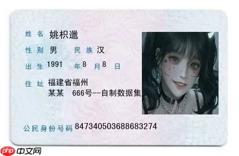 PPOCRLabel半自动工具标注自制身份证数据集 - 游乐网