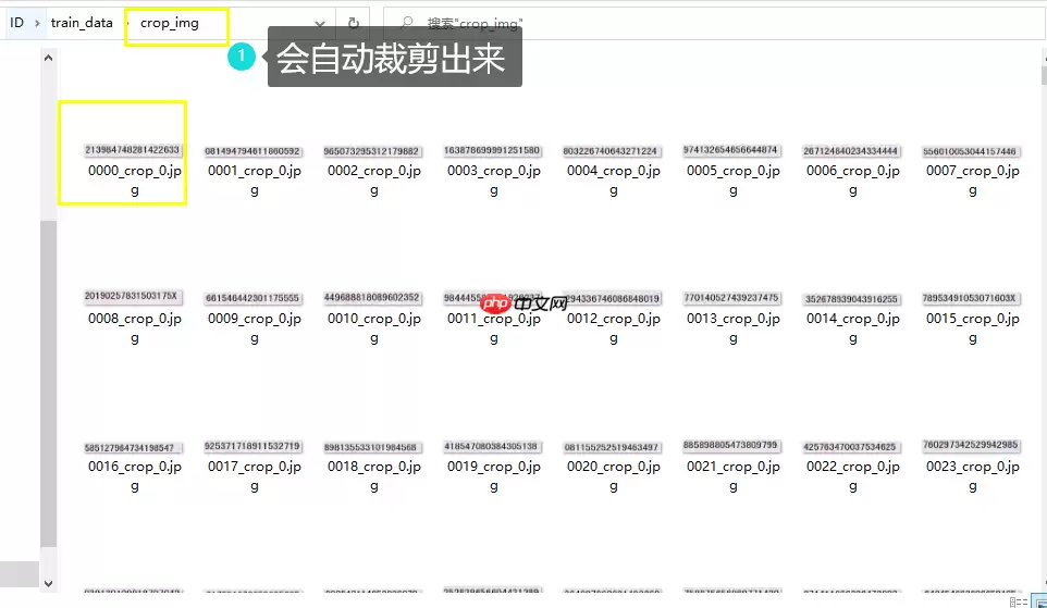 PPOCRLabel半自动工具标注自制身份证数据集 - 游乐网