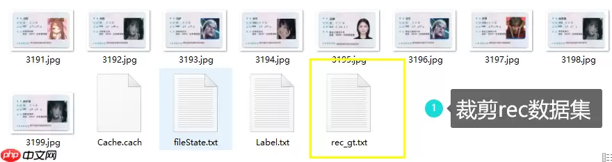 PPOCRLabel半自动工具标注自制身份证数据集 - 游乐网