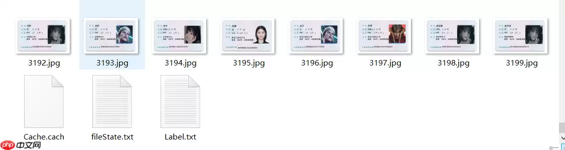 PPOCRLabel半自动工具标注自制身份证数据集 - 游乐网