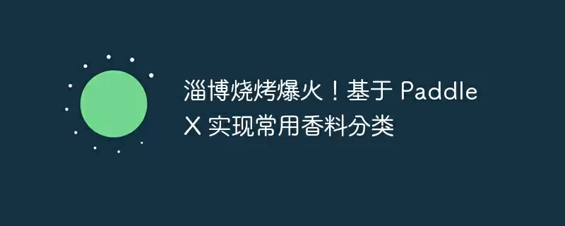 淄博烧烤爆火！基于 paddlex 实现常用香料分类 - 游乐网
