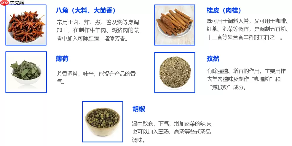 淄博烧烤爆火！基于 PaddleX 实现常用香料分类 - 游乐网