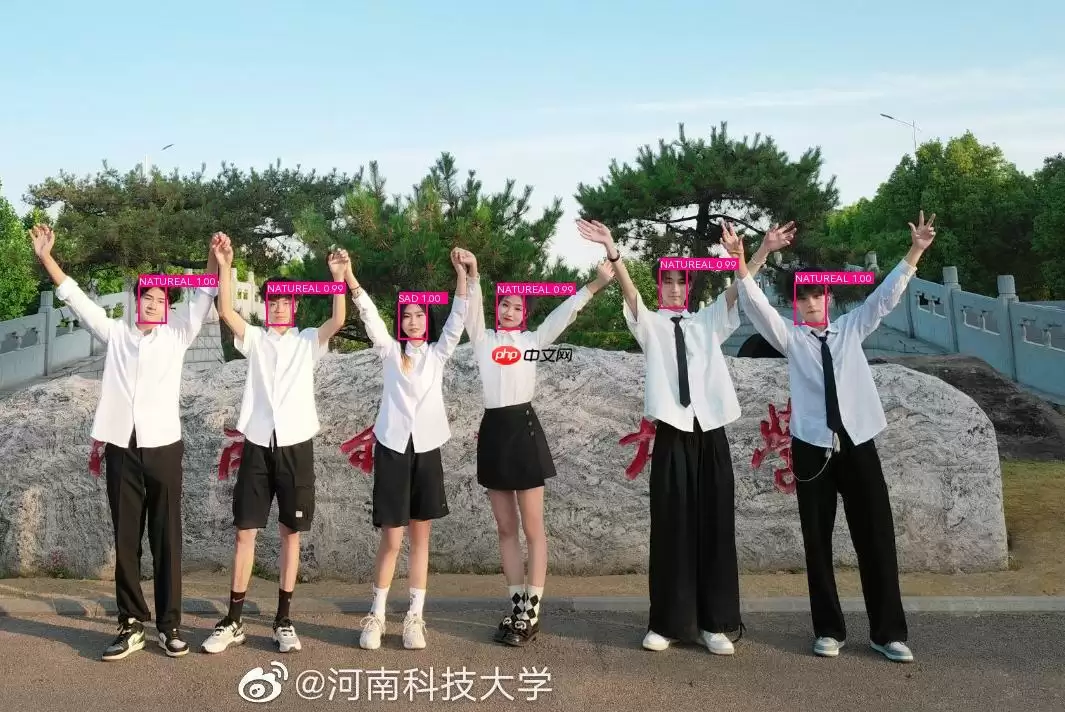 基于PaddleDetection的人脸情绪识别 - 游乐网