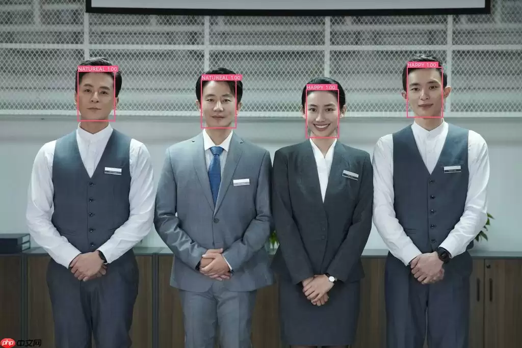 基于PaddleDetection的人脸情绪识别 - 游乐网