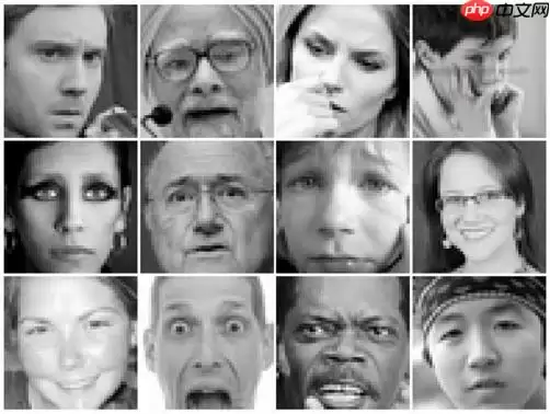 基于PaddleDetection的人脸情绪识别 - 游乐网