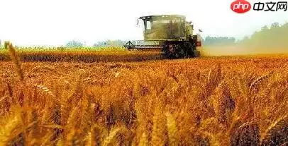 Coding-Party 基于飞桨的农作物智能识别系统 - 游乐网