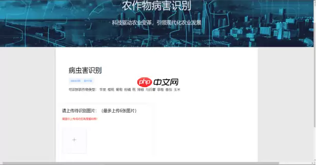 Coding-Party 基于飞桨的农作物智能识别系统 - 游乐网