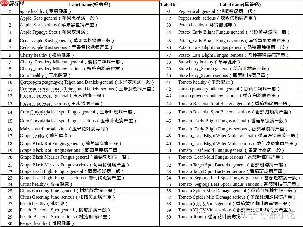 Coding-Party 基于飞桨的农作物智能识别系统 - 游乐网