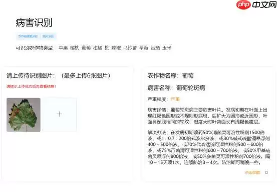 Coding-Party 基于飞桨的农作物智能识别系统 - 游乐网