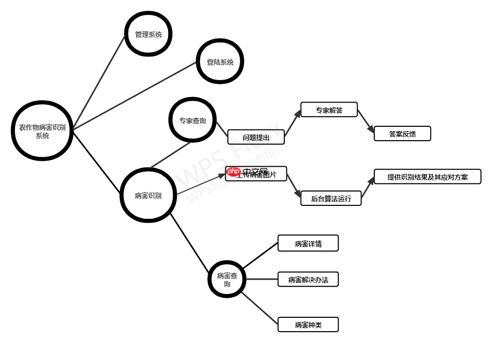 Coding-Party 基于飞桨的农作物智能识别系统 - 游乐网