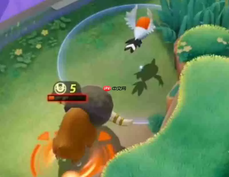 宝可梦大集结特防和防御有什么区别 防御机制详细解析