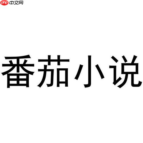 番茄小说VIP无限畅读版 番茄免费小说VIP会员免广告