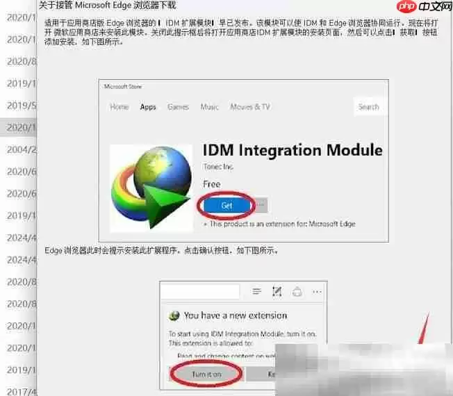 怎么下载网页上的视频？（最新有效下载工具）