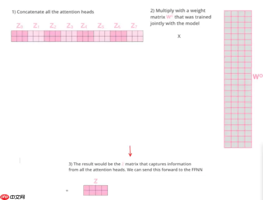 Paddle2.2复现经典论文Transformer(理论篇) - 游乐网