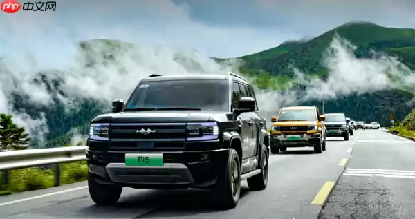 第29周硬派越野车型销量公布:豹5和坦克300被反杀?