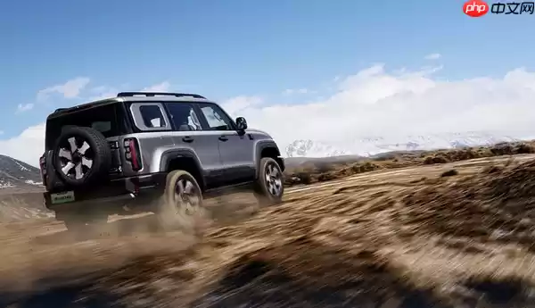 第29周硬派越野车型销量公布:豹5和坦克300被反杀?