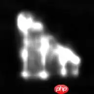 MoveNet-谷歌轻量级人体姿态估计算法 - 游乐网